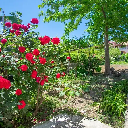 Dora'S Tsilivi Beach House A By 