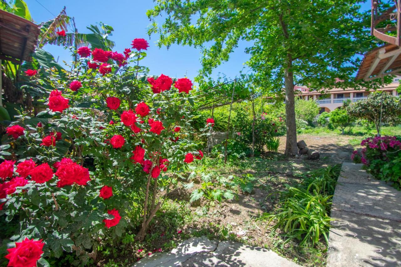 Dora's Tsilivi House A By 